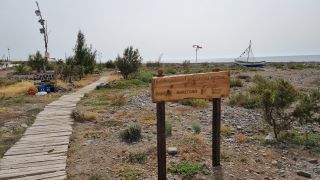 2024-03-Playa_La_Caleta-081.jpg